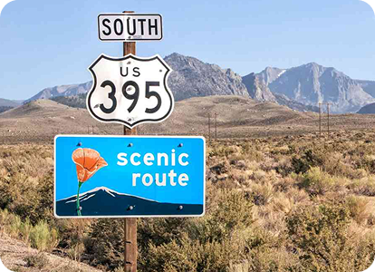 2025 Wrapped: The Year You Took the Scenic Route